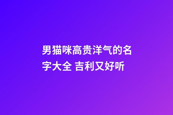 男猫咪高贵洋气的名字大全 吉利又好听